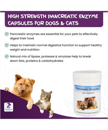 Pancreatic Digestive Enzyme Capsules for Dogs & Cats - Amylase and Lipase Health Supplement for Dog & Cat | 100 Capsules - Buy Online on SooperMarket.com