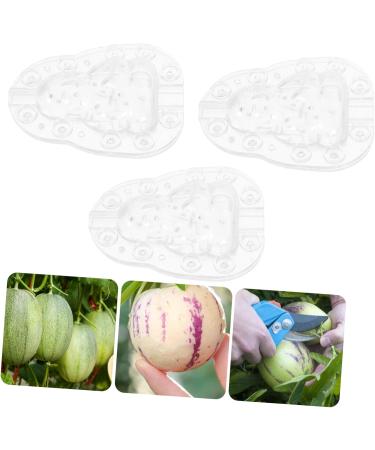 VINTORKY 3pcs Vegetable Mold Ginseng Creative Melon Fruit Accessory Forming Machine Gourd - Buy Online on SooperMarket.com