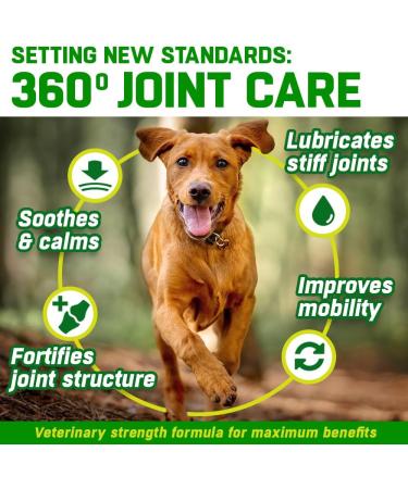 Dog Joint Care Supplements | 150 Chews with Green Lipped Mussel, Glucosamine & Chondroitin | Hemp Oil, MSM, Hyaluronic Acid, Manganese & Vitamins | Aids Stiff Joints | 1 Pot (150 Chews) - Buy Online on SooperMarket.com