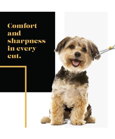 Sharf Gold Touch Pet Scissors - 8.5 Straight Shears for Dog & Pet Grooming - 440c Japanese Stainless Steel - Buy Online on SooperMarket.com