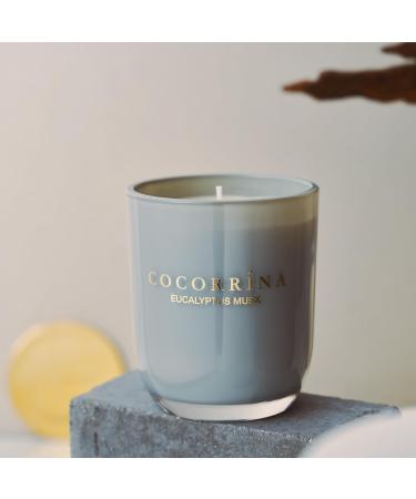 Cocorr na Eucalyptus Musk Candle - 180g Natural Soy Wax 22 Hours Burn Time | Perfect Christmas Gift - Buy Online on SooperMarket.com