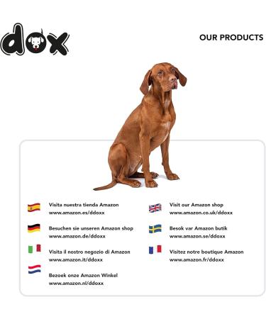 Ddoxx Reflective Nylon Dog Leash - Bite-Proof & Stable Roll Lock System | 5m for Dogs Up to 20kg - Blue - Buy Online on SooperMarket.com