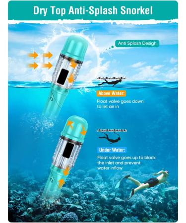 Seovediary Snorkel Set for Adults | Anti-Fog Panoramic Swim Mask & Dry Top Snorkel Kit | Green & Transparent | Perfect for Snorkeling & Scuba Diving - Buy Online on SooperMarket.com