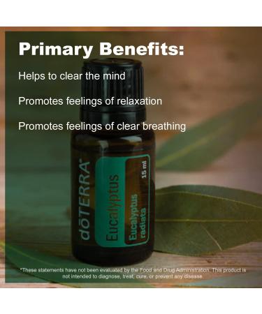 doTERRA Eucalyptus Radiata Essential Oil - 15 mL | Pure & Natural Aromatherapy - Buy Online on SooperMarket.com