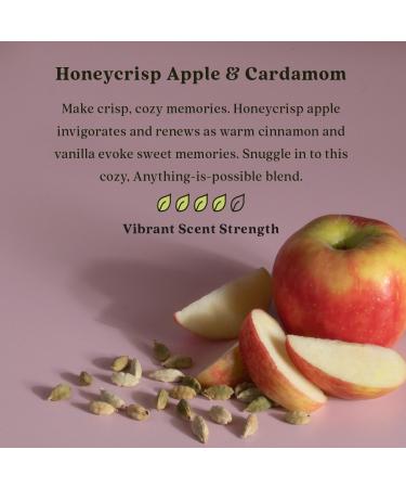 Enviroscent Ltd Edition Seasonal Non-Toxic Air Freshener Kit - Honeycrisp Apple & Cardamom | Essential Oils 6 Stix Mango Wood Stand | International Shipping - Buy Online on SooperMarket.com