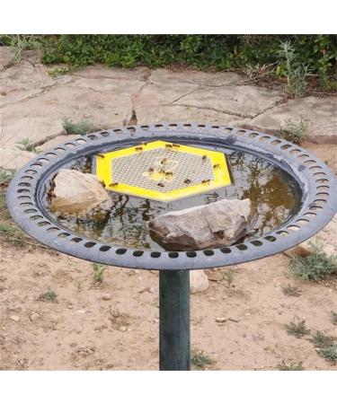 Colorful Bee Watering Station Bee Waterer and Butterfly Water Stations Floating Bee Island Use for Bee Cups for Garden Bee Water Catcher Cups for Thirsty Pollinators(Color:Purple) - Buy Online on SooperMarket.com
