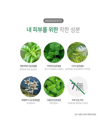 Mint Pore Korean Face Wash Cleansing Foam - Acne Prone Skin Facial Cleanser 130g | Kwailnara - Buy Online on SooperMarket.com