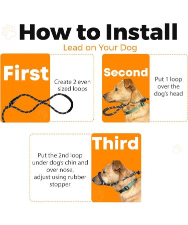 Total Pet Anti-Pull Figure 8 Dog Lead with Padded Nose Support - Medium/Large Black - Buy Online on SooperMarket.com