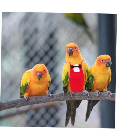 Iplusmile Parrot Suit - Bird Windula Accessories for Home Birds | Pet Needs & Clothing for Bird Lovers | Red Set - Buy Online on SooperMarket.com