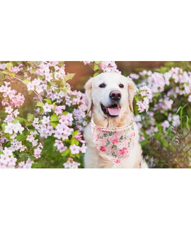 Lionet Paws Dog Bandana - Pink Flower Triangular Scarf for Small Medium & Large Dogs | Stylish Headscarf for Pets (Pack of 1) - Buy Online on SooperMarket.com