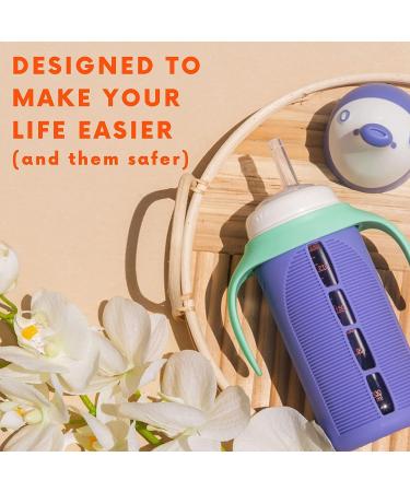 Set of 2 Glass Sippy Cups for Toddlers - The Luca | Mint Green & Indigo Purple | 8oz Spill-Proof Straw Cup | Silicone Straw | BPA-Free - Buy Online on SooperMarket.com