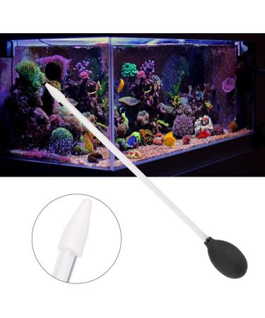 Fish Feeder Fish Feeders for Aquariums 2MM Long Acrylic Coral Feeder Fish Tanks Tube Coral Feeding Tube for Coral Feeding Cleaning for Reef Anemones(Black) Black Coral Feeding Tube - Buy Online on SooperMarket.com