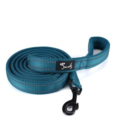 Kaka mall dog leash high density nylon material reflective design good for training and daily use dog leash padded blue 2.5 * 120cm 2 m (1 Pack) blue