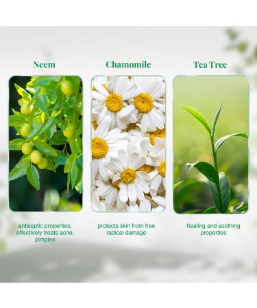 Buy VLCC Neem Face Wash with Chamomile & Tea Tree - 150ml | Best International Shipping - Buy Online on SooperMarket.com