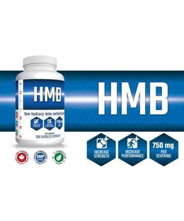 Pro Line HMB Capsules | 3000mg HMB (Beta-Hydroxy Beta-Methylbutyrate) 750mg Per Capsule | HMB Leucine Supplement for Muscle Growth Recovery Muscle Soreness Strength | 120 Capsules (Pack of 2) 120 count (Pack of 2) - Buy Online on SooperMarket.com