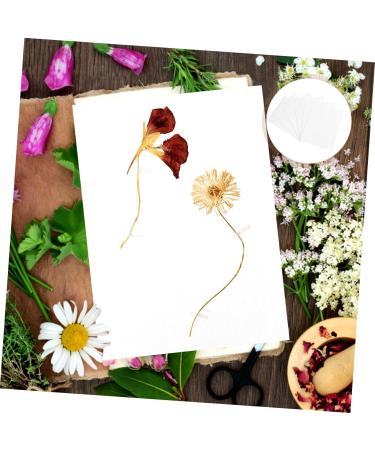 FRCOLOR Dried Flower Blotting Paper Set - Embossed Perforated Specimen Boards for Herbarium, White Flowers Paper - 4pcs 20x15cm - Buy Online on SooperMarket.com