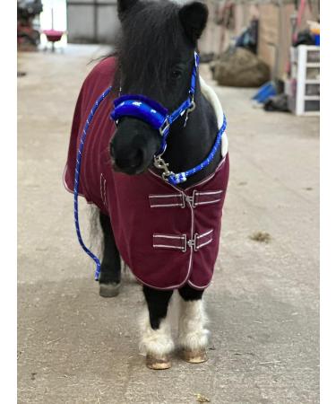 Equipride Horse Print Fur Padded Nylon Headcollars with Lead Rope Royal Blue (Mini Shetland) Royal Blue Mini Shetland - Buy Online on SooperMarket.com