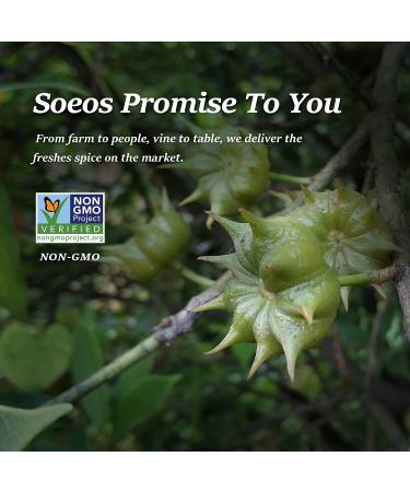 Soeos Star Anise Seeds 6oz (170g) - Non-GMO Verified, Great for Baking and Tea | Chinese Star Anise Pods for Cooking and Tea, Dried Anise Star Spice - Star Anise Bulk - Buy Online on SooperMarket.com
