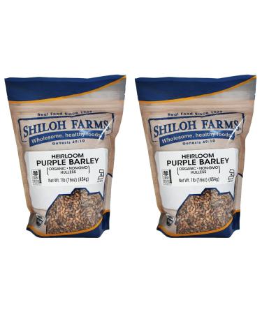 Shiloh Farms Heirloom Organic Hulless Purple Barley - Whole Grain - 16 Ounce Bag (Pack of 2) - ONE OF THE MOST NUTRITIOUS GRAINS ON EARTH!