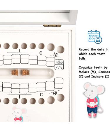 Baby Keepsake Tooth Box - Lost Teeth Holder for Boys and Girls - Tooth Fairy Organizer - White Wood - Perfect Gift for Parents and Kids - Buy Online on SooperMarket.com