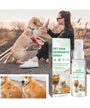 Cat Detangler Spray for Matted Hair Leave In Hair Conditioner Spray Pet Supplies for Dogs Cats Matted Hair Encourages Hair Regrowth (30ml) Shareed - Buy Online on SooperMarket.com