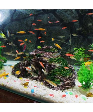 Buy Ctpeng Aquarium Cave Decoration for Betta & Cichlids - Slate Scape Ornament (23cm x 10.5cm x 7.2cm) | International Shipping Available - Buy Online on SooperMarket.com