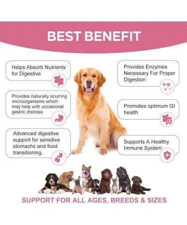 Premium Dog Probiotics 5BIL CFUs | 12 Strains Good Bacteria for Gut & Skin Health | Immune Support & Itch Relief | Salmon Flavored Chews for All Breeds & Ages - Buy Online on SooperMarket.com