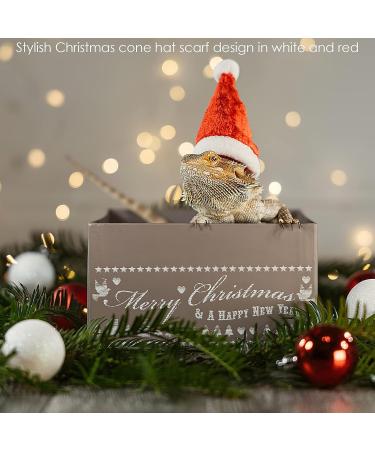 Petyoung Reptiles Hat & Scarf Set for Lizards Bearded Dragons Geckos - Christmas Hat Shell Red Leash & Dishes - Perfect Gift for Small Animals - Buy Online on SooperMarket.com