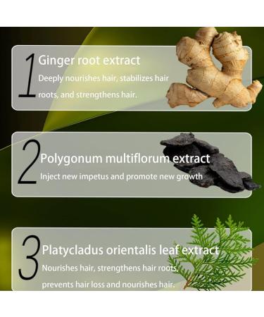 Ginger Plant Extract Anti-Hair Loss Hair Shampoo 240ml Ginger Shampoo for Hair Growth Oil Control Hair Care Plant Shampoo (1pc) - Buy Online on SooperMarket.com