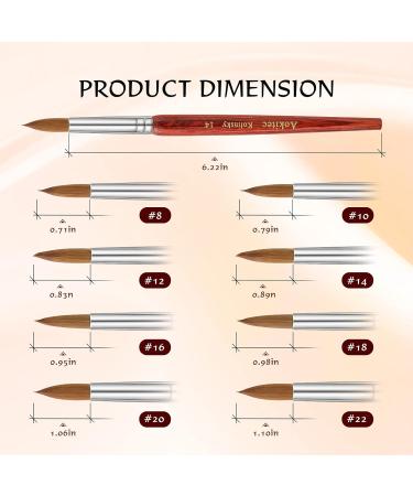 Aokitec #12 Oval Crimped Sable Acrylic Nail Brush - Wood Nail Art Tool for Acrylic Application - Buy Online on SooperMarket.com