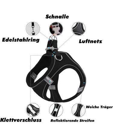 Shop Small Dog Harness & Puppy Dishes - Curli Harnesses & Catware for XS Dogs - Buy Online on SooperMarket.com