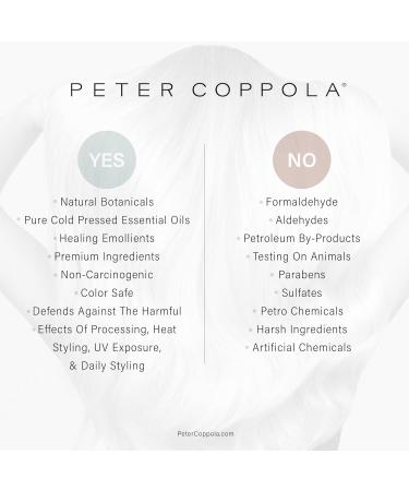 PETER COPPOLA Total Repair Shampoo & Conditioner Duo | Color-Safe Sulfate-Free Hair Care for Color Treated Hair | Keratin Treatment Aftercare (12 Fl Oz - Buy Online on SooperMarket.com