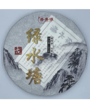 Pu-erh tea 2022 SHENG JIA YUAN green pond 357g Raw