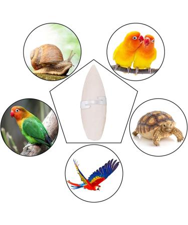 Buy Lorelo 6-Piece Sepia Bowl & Chewing Toys Set for Parrots Turtles & Snails - Includes 3 Metal Holders 11-13cm - International Shipping Available! - Buy Online on SooperMarket.com