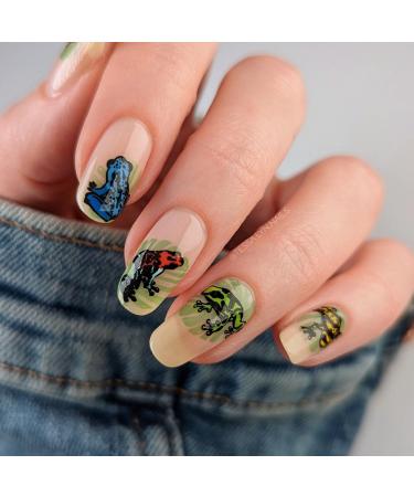 Shop Maniology Forest Wonders Nail Stamping Plate Set - Unique Mushroom & Frog Nail Art for Stunning Manicures - Buy Online on SooperMarket.com