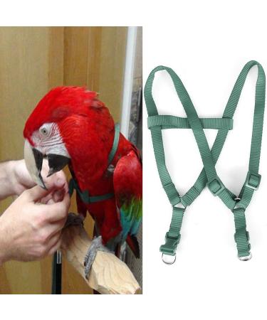 Ruqias Pet Bird Harness Leash for Macaw Cockatoos with Buckle Adorable Rainbow Design Safe Parrot Leash Pet Harness Outdoor Adjustable Anti Bite Training Rope for Macaw Large Size Bird L Green - Buy Online on SooperMarket.com
