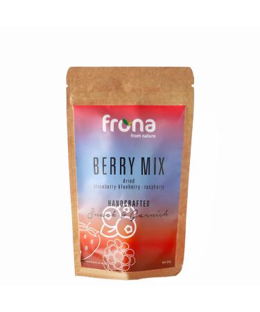 Frona Mini Pack 10g - Dehydrated Fruit Dried Slices- Ideal for Cocktails and Soft Drinks (Berry Mix)