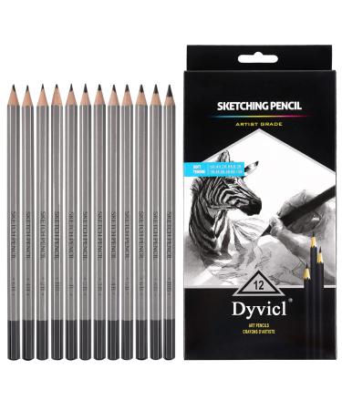 Dyvicl Professional Drawing Sketching Pencil Set - 12 Pieces Drawing Pencils 10B, 8B, 6B, 5B, 4B, 3B, 2B, B, HB, 2H, 4H, 6H Graphite Pencils for Beginners & Pro Artists