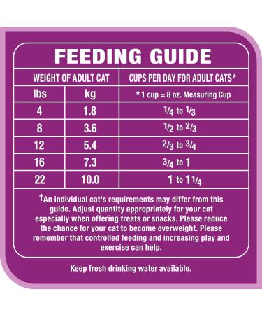 Whiskas Beef Selections Adult Dry Cat Food Natural Beef Flavour 4kg Bag - Buy Online on SooperMarket.com