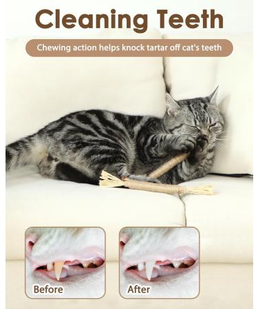 Nepfaivy Cat Toys for Indoor Cats - Silvervine Stick Cat Chew Toy 6 PCS Cat Nip Toy for Teeth Cleaning Natural Dental Catnip Sticks for Kittens - Buy Online on SooperMarket.com