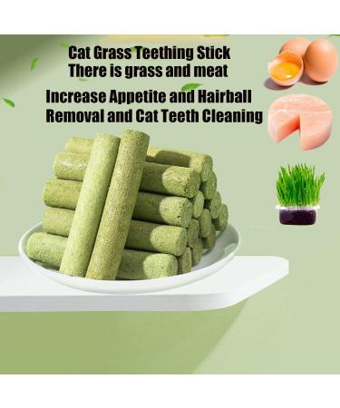 Berdexa Cat Grass Teething Sticks Verdexa Cat Grass Teething Sticks for Indoor Cats Cat Grass Chew Stick Cat Chew Stick Natural Molar Rod Increase Appetite (1Bucket) - Buy Online on SooperMarket.com