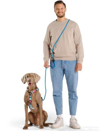 Hands-Free Dog Leash - 2m Adjustable Belly Belt for Running & Jogging | 3-in-1 Training & Hunting Leash for All Dog Sizes - Touline Petrol - Buy Online on SooperMarket.com