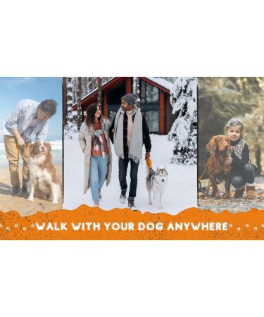 Loutep 5m Dog Training Leash - Durable Nylon Long Leash with Padded Handle & Heavy Duty Swivel Hook - Orange - Buy Online on SooperMarket.com