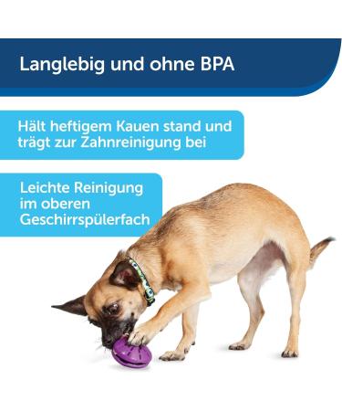 PetSafe Twist-n-Treat Dog Toy | Fillable Treat Toy | Customizable Dispensing & Dishwasher Safe | Purple L - Shop Now for International Shipping! - Buy Online on SooperMarket.com