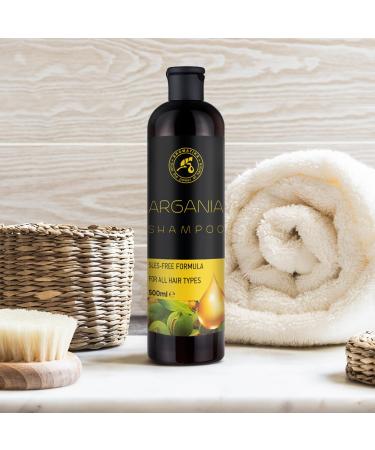 AROMATIKA Argan Oil Shampoo 16.2 Fl Oz | Natural Hair Care with Argan Oil & Herbal Extracts for All Hair Types - Restorative Formula - Buy Online on SooperMarket.com
