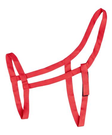 WALDHAUSEN pasture halter warmblood red Red WB