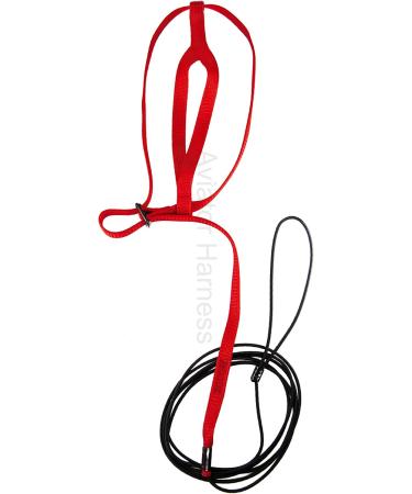 Aviator Bird Harness & Leash Made in America | Size M Red | International Shipping Available - Buy Online on SooperMarket.com