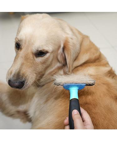 HCE Dog Hair Brush for Grooming | Best Brush for Matted Hair, Shedding & Defurring | Ideal for Large Dogs, Huskies | Blue - Buy Online on SooperMarket.com