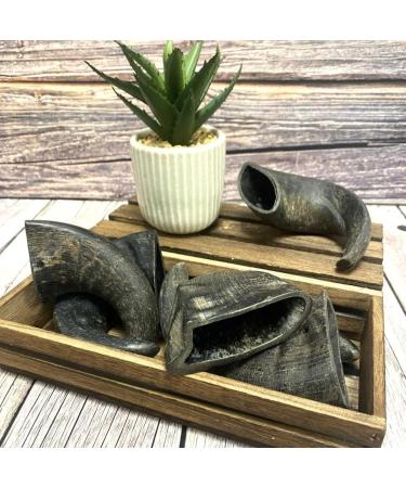 Small Buffalo Horns x 5 Natural Dog Treats Chews LPD - Buy Online on SooperMarket.com