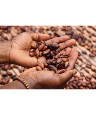 Kamelur 1kg Bio Criollo Cocoa Beans - Raw Vegan Organic | Additive-Free & Biodegradable Packaging - Buy Online on SooperMarket.com